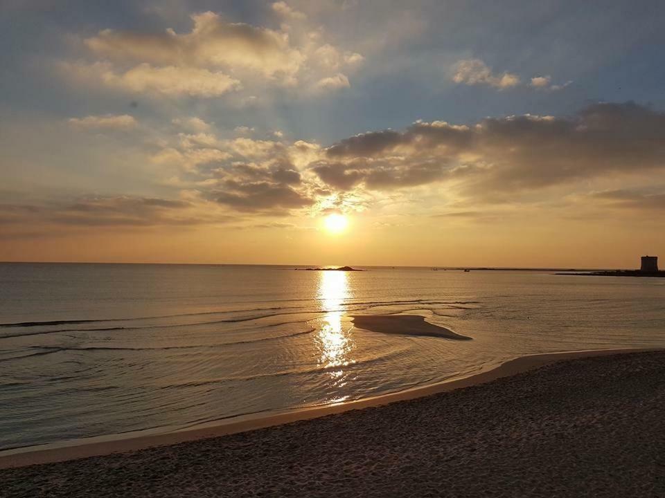 ポルト・チェザーレオ Vev Salento Bed & Breakfast エクステリア 写真